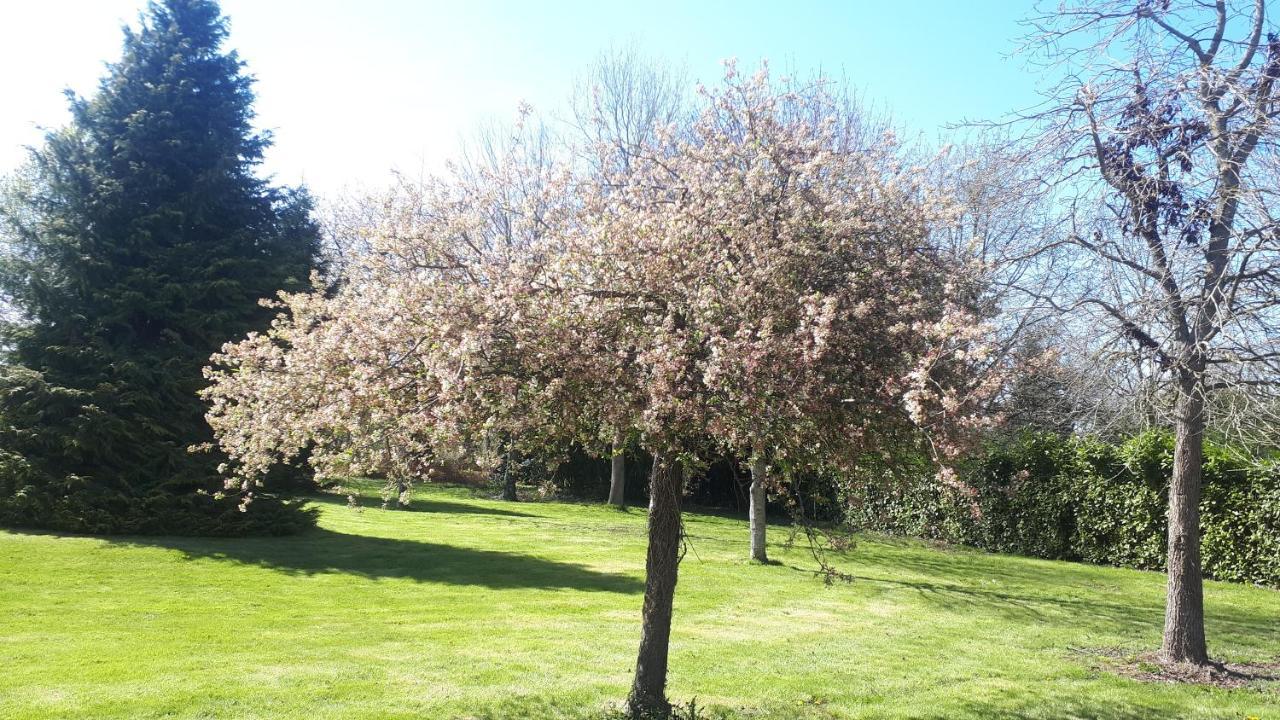 Gite De Bon Air Sens-de-Bretagne Екстериор снимка